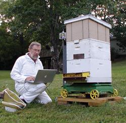 Esaias downloads data from bee hives at Mink Hollow Apiary, which he maintains in his backyard in Highland, Maryland Photo: Elaine Esaias
