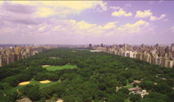 Parks power growth: New York’s Central Park fueled  a real estate boom.